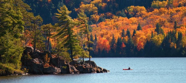 Destination Québec, rencontres avec l'OFQJ les 30 et 31 octobre 2019