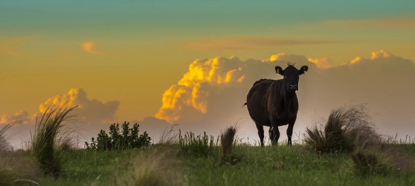 Agriviva, découverte de l'agriculture suisse