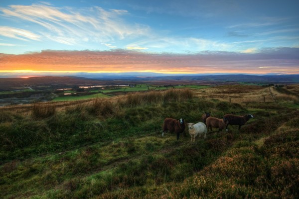 Restitution de voyage en wwoofing en Irlande avec Manon et Titouan