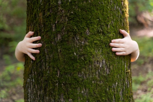 Postule à un Volontariat Franco-Allemand en écologie & culture